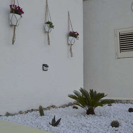 Casa Vacanza Salentina Gagliano del Capo Exteriér fotografie